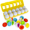 Brinquedo Ovos que Combinam Montessori