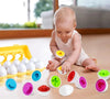 Brinquedo Ovos que Combinam Montessori