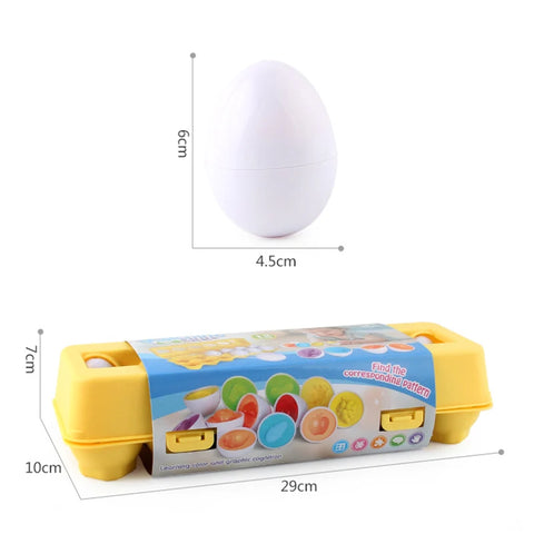 Brinquedo Ovos que Combinam Montessori