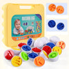 Brinquedo Ovos que Combinam Montessori