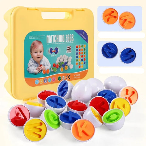 Brinquedo Ovos que Combinam Montessori