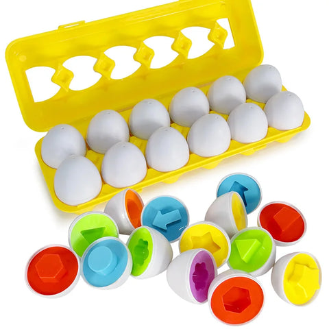 Brinquedo Ovos que Combinam Montessori