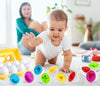 Brinquedo Ovos que Combinam Montessori