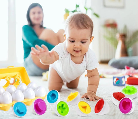 Brinquedo Ovos que Combinam Montessori
